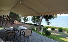 Sunset Apartment